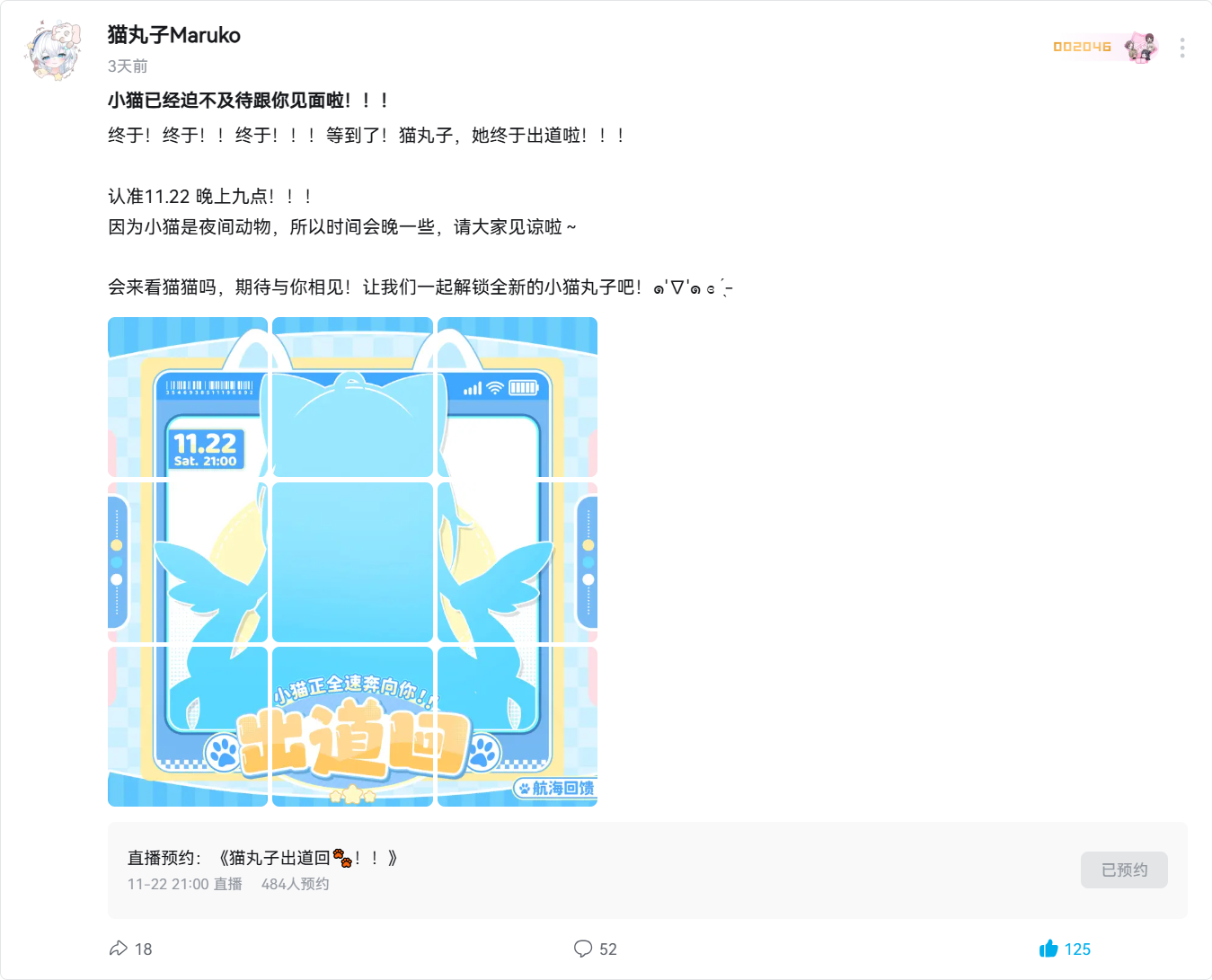 小猫已经迫不及待跟你见面啦！！！